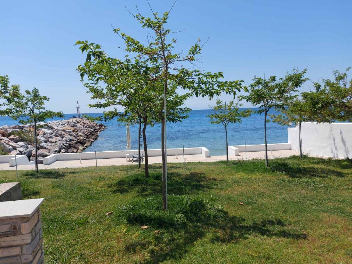 אפרטהוטל ניאה סקיוני Pansion Alexandros By The Sea מראה חיצוני תמונה